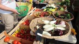 Fruits Et Legumes Bio Les Serres Chauffees Autorisees Pas De Vente De Decembre A Avril Ladepeche Fr