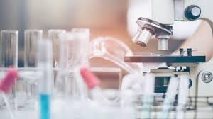 Used since 1980s, the drug is mainly used in creams and lotions for head lice. Peneliti Ivermectin Obat Cacing Yang Bisa Bunuh Virus Corona Dalam 48 Jam Health Liputan6 Com