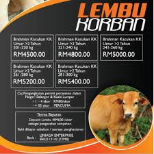 Harga lembu adalah blog rasmi umm baraqah resources untuk khidmat bekalan lembu bagi tujuan aqiqah korban qurban dan katering. Lembu Korban Hari Raya Aidiladha 2019 Everything Else Religious Items On Carousell