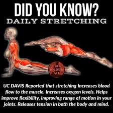 Pin On Exercise