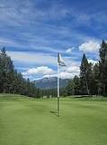 Image result for what is the green on a golf course