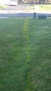 Pin on for the home. The Line Of Grass Me And My Neighbor Never Cut Mildlyinteresting