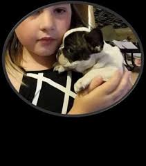 Promoting well conformed, healthy purebred show dogs and well adjusted  family members