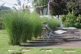 Graser Sichtschutz Garten Sichtschutzwand Garten Und Bepflanzung