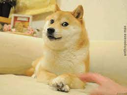 Explore tweets of dogecoin memes @dogecoinmemes on twitter. Wow Much Gif Doge Know Your Meme