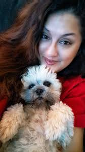 If anyone has seen my dog please please please message me last seen in  Rosamond off orange and dixie please we are literally sick to our stomachs 