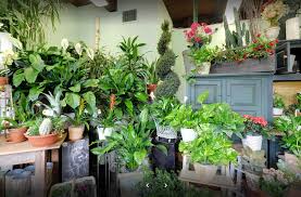 As stamford's premiere funeral services provider, we are here to serve your family in this time of need. Hansen S Flower Shop Experience Fairfield Ct