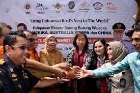 Which popular attractions are close to oyo 623 mmtc guest house? Lepas Ekspor Sarang Burung Walet Sekdaprovsu Harapkan Kembangkan Produk Hilirnya Matabangsa