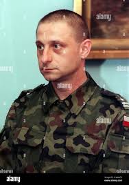 Nato medal hi-res stock photography and images