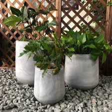 We did not find results for: 40 Large Planters For Trees And Flowers Insteading