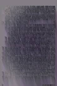 Image result for Synandrodaphne paradoxa