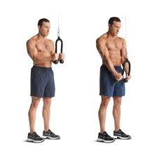 Bu videomuzda, etrafınızdaki parklarda bulacağınız spor aletlerinin ne işe yaradığını / yaramadığını ve nasıl kullanılacağını. Fitness Aletleri Spor Salonu Aletleri Isimleri Ve Ozellikleri Guncel Manset Yasam Saglik Teknolooji Magazin Spor