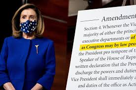She's been involved with politics from an early age, with both her father and brother serving as mayor of baltimore. Democrats Zero In On President S Fitness For Office As Election Looms The New York Times