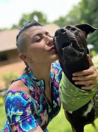 Dog walker in Flemingdon Park Toronto area