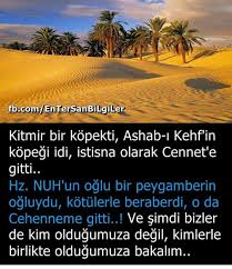 Mehmed Emin Eyyubi Adli Kullanicinin Allah C C Peyganber S A V Iman Islam Ihlas Ilim Amel Hikmet Fikir Siir Panosundaki Pin Ozlu Sozler Iman Hayat