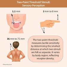 Image result for Two Point Discrimination