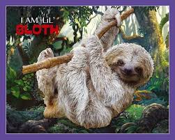 Check spelling or type a new query. Madd Capp Puzzle I Am Sloth Leniwiec 100 El Sklep Ene Due Eu