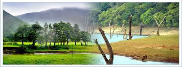 Image result for munnar thekkady