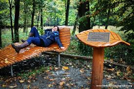 You hear woodpeckers tapping and smell woodruff, feel soft moss and raw bark. A Visit To The Other Eifel Eifel National Park Germany Family Adventure Project