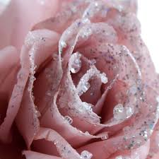 Shabby pink christmas flocked poinsettias church bottle. Blush Pink Silk Sparkle Rose Clip 14cm