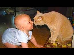 Funny Cats And Babies Playing Together 5 Funny Babies And Pets Description Cats And Babies Spending Some Free T Cool Cats Funny Babies Funny Cat Compilation