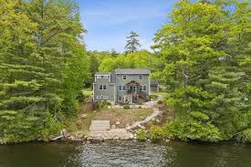 Image result for Lintonia