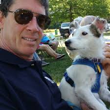 Low maintenance plants for shaded south side?