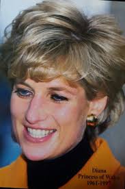 Pin van Susan Rowles op princess Diane