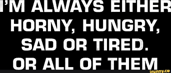 ALWAYS EITHER HORNY, HUNGRY, SAD OR TIRED. OR ALL OF THEM - iFunny Brazil