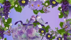 Hd Wallpaper Birds And Flowers Love Birds And Grapes Desktop Nexus Wallpapers Bird Wallpaper Birds Wallpaper Hd Flower Wallpaper