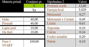 In hranirea puilor de gaina pe timpul cresterii in puiernita se disting doua etape. Retete Furaje Pui De O Zi