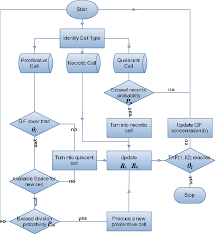 flowchart of a tumour cell life cycle within the ca model