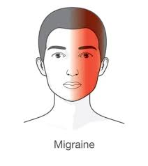 Is it possible, for physical therapists, massage therapists, chiropractors  etc, to have the same set of the assessments, the same scientific concepts  etc. ? although due to the fact that pathogenesis of