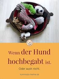 Das Begabte Tier Kommst Du Hierher Hunde Und Dann Kamst Du Hunde Erziehen