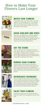 We did not find results for: How To Make Your Flowers Last Longer