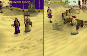 He also says he will make website for my camel. Feud The Runescape Guide Runehq