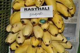 Horticulture Fruits Banana