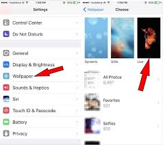 You would need to press and hold the screen to get the live photo to live wallpaper on iphone xr won't work as it doesn't have 3d touch feature. How To Set A Live Photo As Your Wallpaper On Iphone Xr