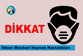 Ihbari Mecburi Hayvan Hastaliklari Dost Dernegi