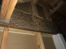Located in hammonton, new jersey, jersey premier landscape management work with residential and commercial clients. Mold Inspections Mold Remediation