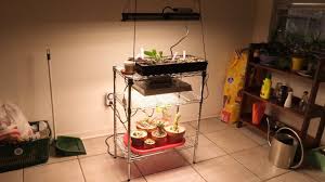 13 of the best grow lights for your indoor garden. Diy Grow Light Stand 2 Levels 2 Lights One Shelf Youtube