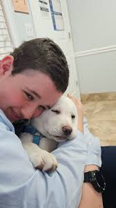 Part 1 of 3: PUPdate Almost 3 weeks (20 days) old#lab #labrador #puppylove  #puppy #puppies #puppiesofinstagram #pup #labpuppy #pupper #lablove  #cedartrailfarmohio