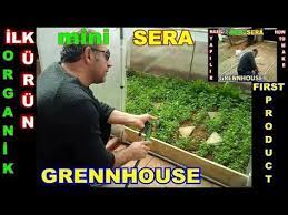 mini sera ilk urun organik yesillik youtube mi ni sera seralar urunler