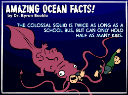 the modern day kraken meet earths colossal squid