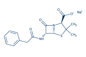 Image result for Penicillin