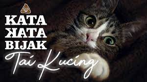 2 berbuat di luar kesadaran. Mabuk Motivasi Sisi Buruk Kata Kata Bijak Halaman 1 Kompasiana Com