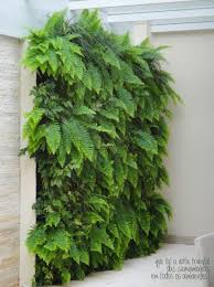 Maybe you would like to learn more about one of these? Vertical Garden Vertical Garden Vertical Garden Design Ferns Garden