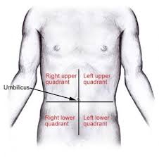 A mass or abdominal lump on the lower left abdomen can most commonly be caused by skin conditions like cysts, abscess, or growth of fatty tissue known as lipoma. Regions And Planes Of The Abdomen Overview Abdominal Skin Superficial Fascia