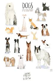 Dogs Wolves Foxes Animal Art Print Dogs Of The World Etsy Dog Print Art Dog Illustration Pet Fox