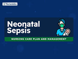 Image result for Neonatal Sepsis